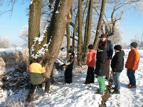Winteraktion "Baumschnitt" Winteraktion "Baumschnitt"